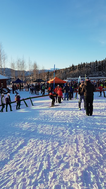 Juleskirenn i fint vintervær